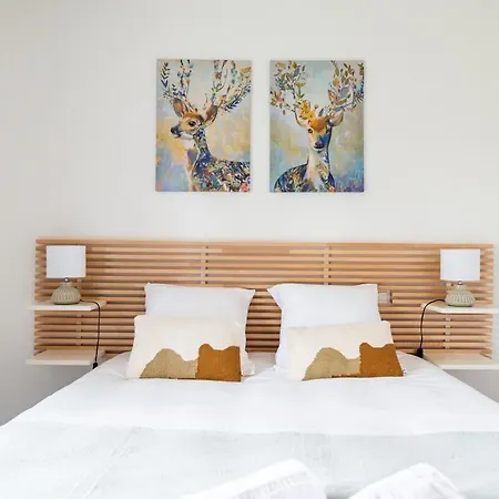 Apartamento T2proche Au Centre Avec Wifi
